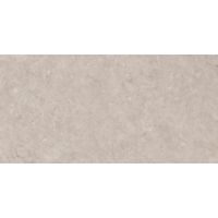 Плитка Ceramica Deseo Dual Tortora 600x300