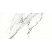 Плитка Ceramica Deseo P.E. Nika Mate Rect 1200x600