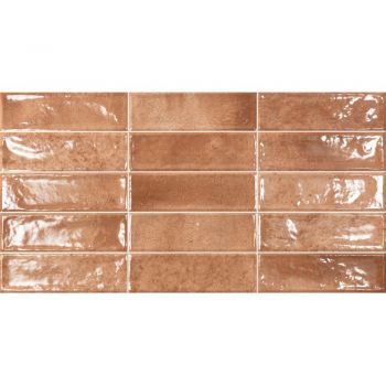 Плитка Ceramica Deseo EC. Pool Cotto 600x316