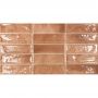 Плитка Ceramica Deseo EC. Pool Cotto 600x316