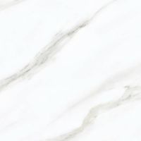 Плитка Ceramica Deseo Vanity Silver 600x600