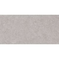 Плитка Ceramica Deseo Dual Grey 600x300