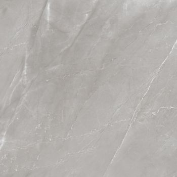 Плитка Ceramica Santa Claus Venezia Grey Pol 600X600