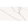 Плитка Ceramika Color Alesia White Rett (CCR66-1) 600x300