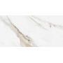 Плитка Ceramika Color Calacatta Oro rect 300x600