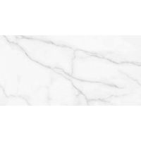 Плитка Ceramika Color Olimpia Rett (CCR67-1) 600x300