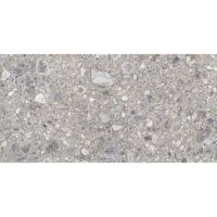 Плитка Cerrad Gres Ceppo Nuovo Silver Rect 597x1197
