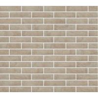 Плитка ELEWACJA LOFT BRICK SALT 245x65