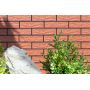 Плитка Cerrad Rot Rustiko 65X245
