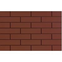 Плитка ELEWACJA BURGUND 245x65