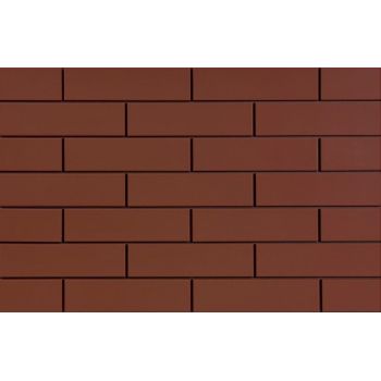Плитка ELEWACJA BURGUND 245x65