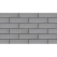 Плитка ELEWACJA FOGGIA GRIS 245x65