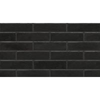 Плитка ELEWACJA FOGGIA NERO 245x65