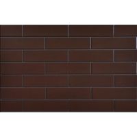 Плитка Cerrad Braz Glazed 65X245
