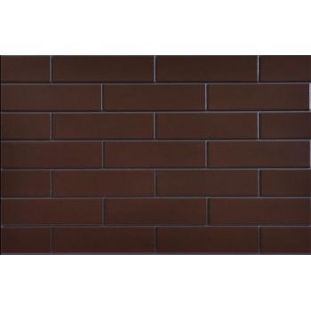 Плитка Cerrad Braz Glazed 65X245