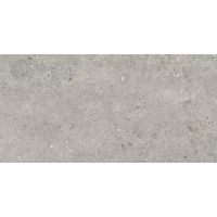 Плитка Cersanit Rialto Grey RECT 1198x598