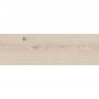 Плитка SANDWOOD white 598x185