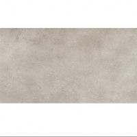 Плитка Cersanit Gptu 1201 Light Grey Colin 1198x598