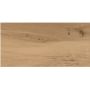 Плитка GILBERTON BEIGE 598x298