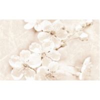 Декор SOFI INSERTO FLOWER 400x250