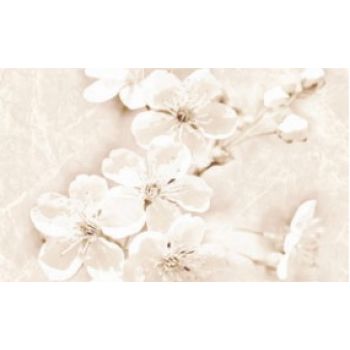 Декор SOFI INSERTO FLOWER 400x250