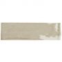 Плитка Ecoceramic Bronx Alga 75X300