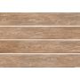 Плитка Amazon Oak 200X1200