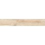 Savannah Sand 200X1200