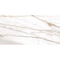 Calacatta Gold 59*118,2