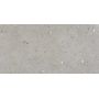 Ego Grigio 60*120