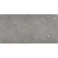 Ego Grigio Scuro 60*120