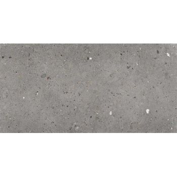 Ego Grigio Scuro 60*120
