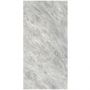 Плитка Fiandre Marble Lab Bardiglio Sublime Semilucidato (AS281X864) 1200x600