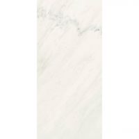 Плитка Fiandre Marble Lab Premium White Semilucidato (AS191X864) 1200x600