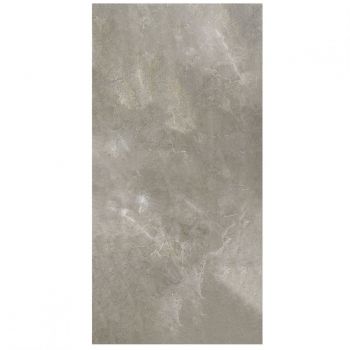 Плитка Fiandre Aion Maximum Grey Aion Naturale (MMS27661530) 3000x1500