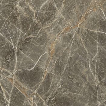 Плитка Golden Tile Stone Roots Dark Beige SOН500 595x595