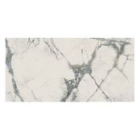 Плитка Imola Inv Wh6 12 Rm 600x1200