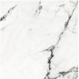 Плитка Calacatta Paonazzo Matt Rect. 595X595