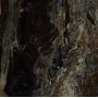Плитка Marazzi Grande Marble Look Frappuccino Rett. (M0FR) 1200x1200