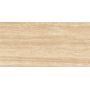 Плитка Megagres NF61219 Travertine Brown 1200x600