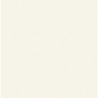 Плитка White Pol Pj6900 600X600