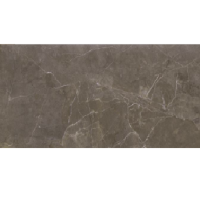 Плитка Opoczno Teneza Brown Glossy 600x297