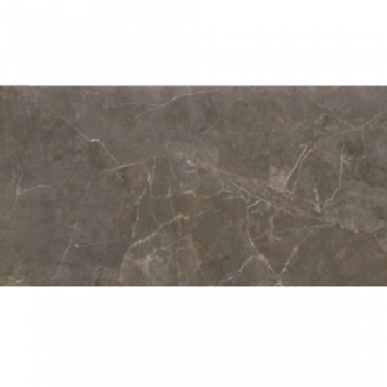 Плитка Opoczno Teneza Brown Glossy 600x297