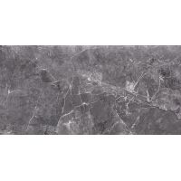 Плитка Opoczno Teneza Grey Glossy 297x600