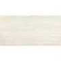 Плитка Pamesa Dorset Taupe 1200x600