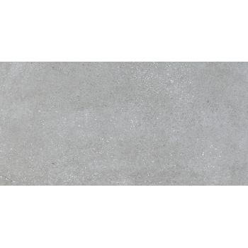 Плитка Pamesa Vita Gris Matt 1200x600
