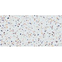 Плитка Pamesa Doria Multi Rec. 1200x600