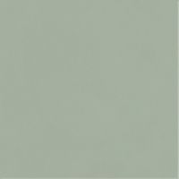 Плитка Paradyz Neve Creative Green 98x98