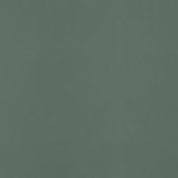 Плитка Paradyz Neve Creative Dark Green MAT 1 198x198