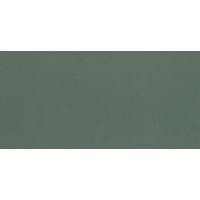 Плитка Paradyz Neve Creative Dark Green MAT 98x198